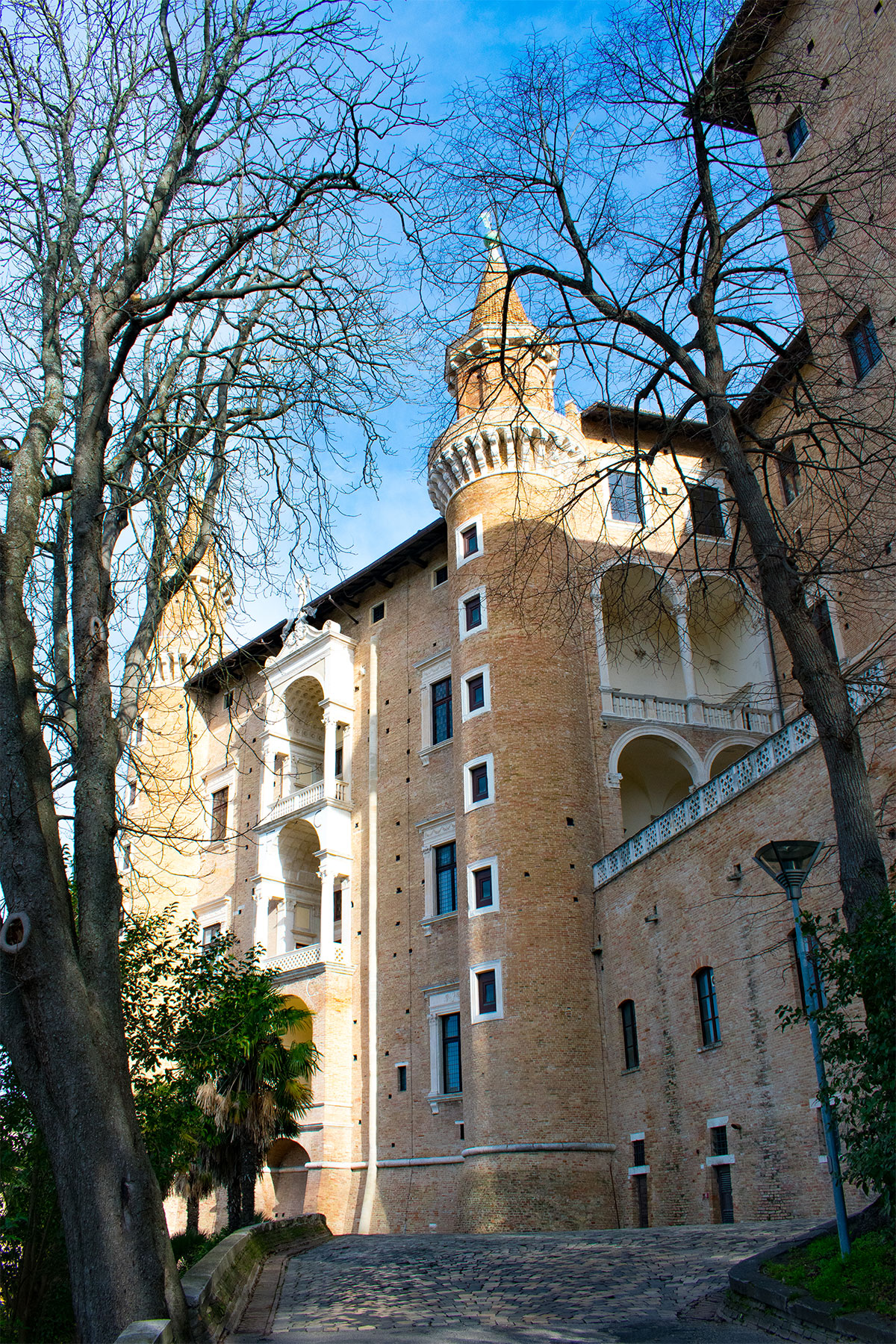 Il Palazzo di Urbino